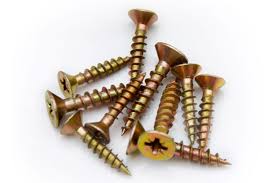 এক ইঞ্চি Screws ১০ পিস