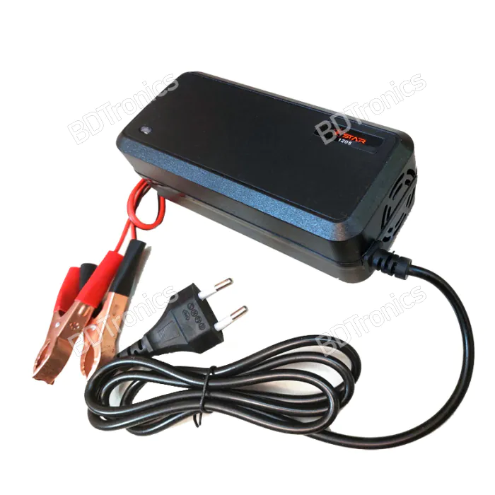 12V 5A Battery Charger  চায়না