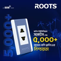 Roots Titanium 2 পিন সকেট