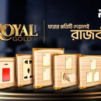 সুপার স্টার রুটস রয়াল গোল্ড 6 পিন সকেট