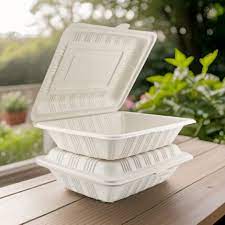 ওয়ানটাইম বিরিয়ানির বক্স , পার্সেল বক্স  50 পিস